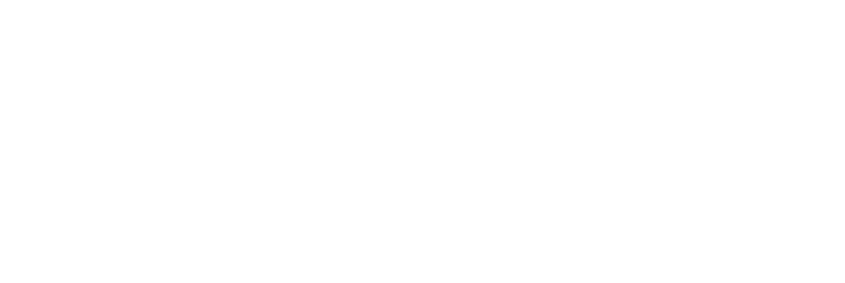 safari logo